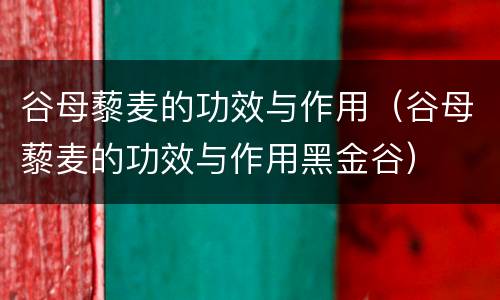 谷母藜麦的功效与作用（谷母藜麦的功效与作用黑金谷）