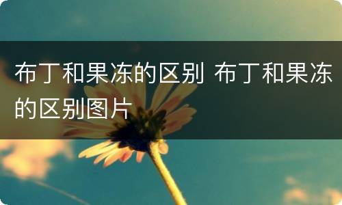 布丁和果冻的区别 布丁和果冻的区别图片
