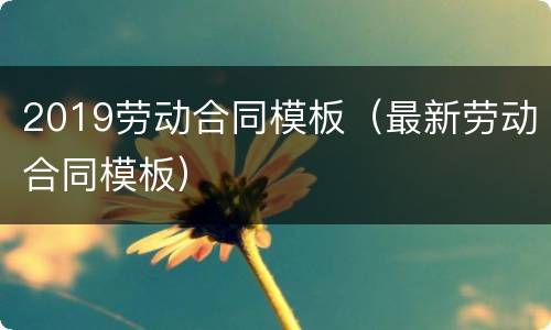 2019劳动合同模板（最新劳动合同模板）
