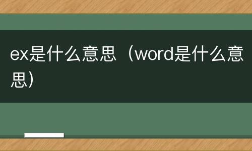 ex是什么意思（word是什么意思）