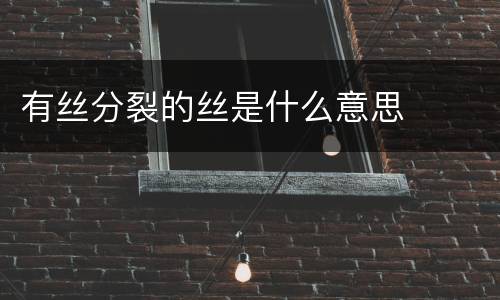 有丝分裂的丝是什么意思