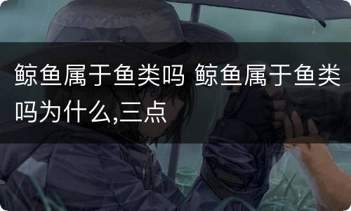 鲸鱼属于鱼类吗 鲸鱼属于鱼类吗为什么,三点