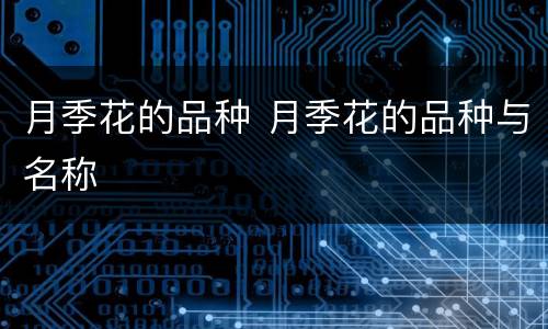 月季花的品种 月季花的品种与名称