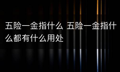 五险一金指什么 五险一金指什么都有什么用处