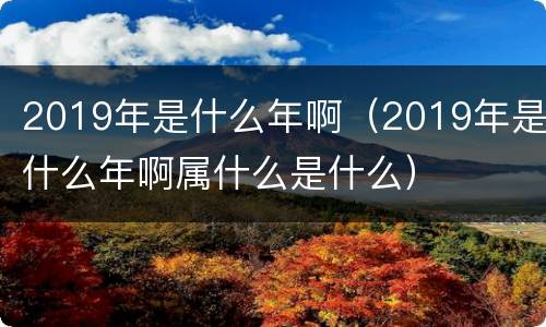2019年是什么年啊（2019年是什么年啊属什么是什么）