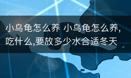 小乌龟怎么养 小乌龟怎么养,吃什么,要放多少水合适冬天