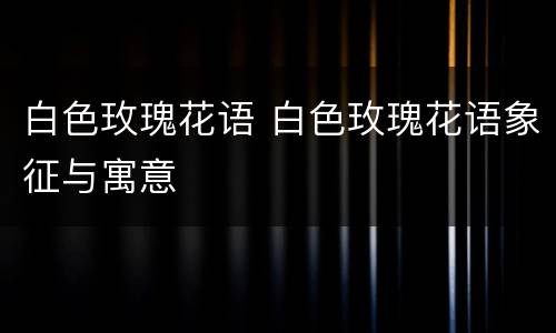 白色玫瑰花语 白色玫瑰花语象征与寓意