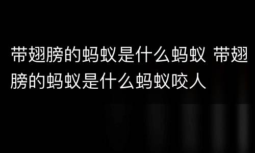 带翅膀的蚂蚁是什么蚂蚁 带翅膀的蚂蚁是什么蚂蚁咬人