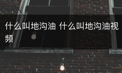 什么叫地沟油 什么叫地沟油视频