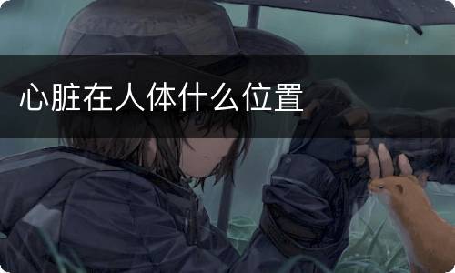 心脏在人体什么位置