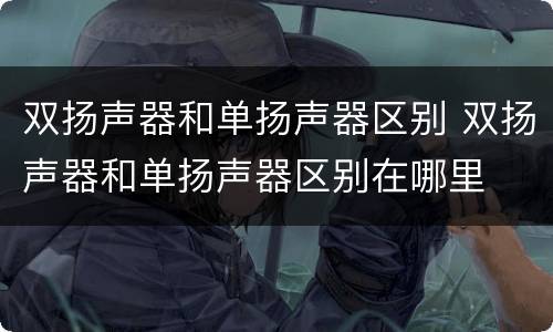双扬声器和单扬声器区别 双扬声器和单扬声器区别在哪里