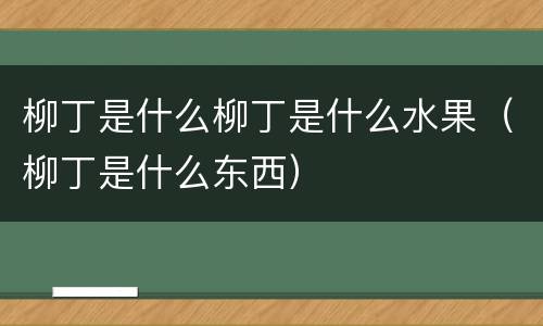 柳丁是什么柳丁是什么水果（柳丁是什么东西）