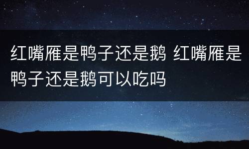 红嘴雁是鸭子还是鹅 红嘴雁是鸭子还是鹅可以吃吗