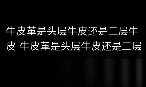 牛皮革是头层牛皮还是二层牛皮 牛皮革是头层牛皮还是二层牛皮?