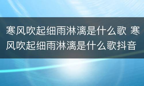 寒风吹起细雨淋漓是什么歌 寒风吹起细雨淋漓是什么歌抖音