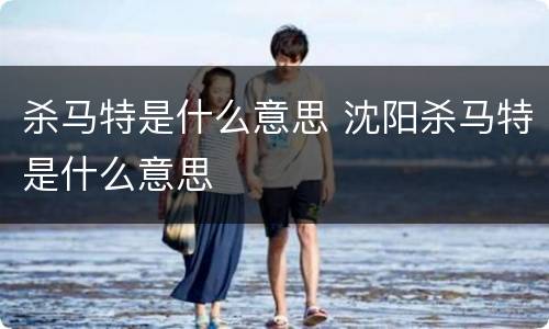 杀马特是什么意思 沈阳杀马特是什么意思