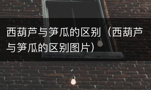 西葫芦与笋瓜的区别（西葫芦与笋瓜的区别图片）