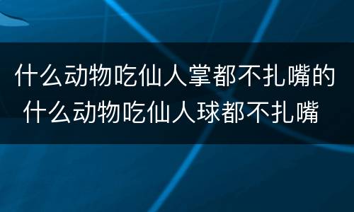 什么动物吃仙人掌都不扎嘴的 什么动物吃仙人球都不扎嘴