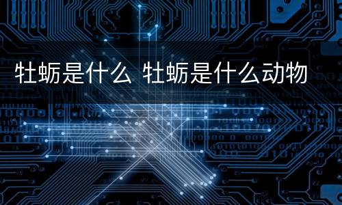 牡蛎是什么 牡蛎是什么动物