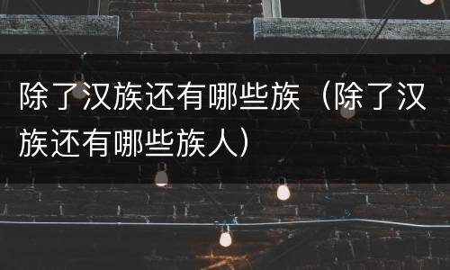 除了汉族还有哪些族（除了汉族还有哪些族人）
