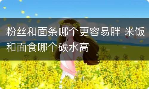 粉丝和面条哪个更容易胖 米饭和面食哪个碳水高