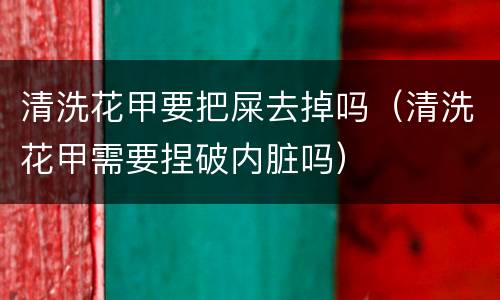 清洗花甲要把屎去掉吗（清洗花甲需要捏破内脏吗）