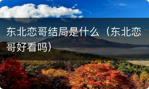 东北恋哥结局是什么（东北恋哥好看吗）