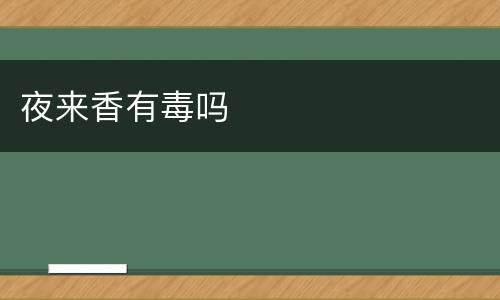 夜来香有毒吗