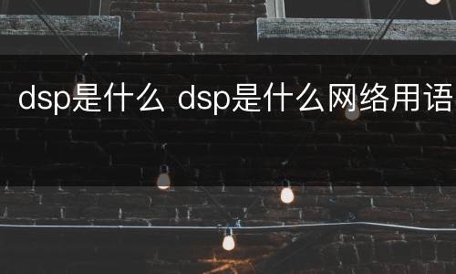 dsp是什么 dsp是什么网络用语