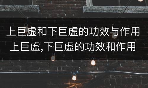 上巨虚和下巨虚的功效与作用 上巨虚,下巨虚的功效和作用