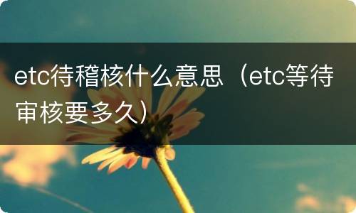 etc待稽核什么意思（etc等待审核要多久）