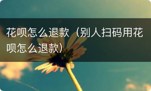 花呗怎么退款（别人扫码用花呗怎么退款）