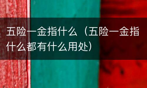 五险一金指什么（五险一金指什么都有什么用处）