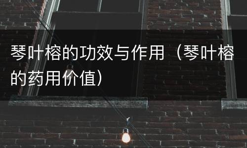 琴叶榕的功效与作用（琴叶榕的药用价值）