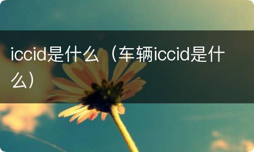 iccid是什么（车辆iccid是什么）