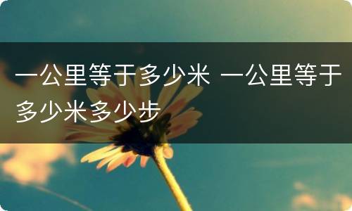 一公里等于多少米 一公里等于多少米多少步