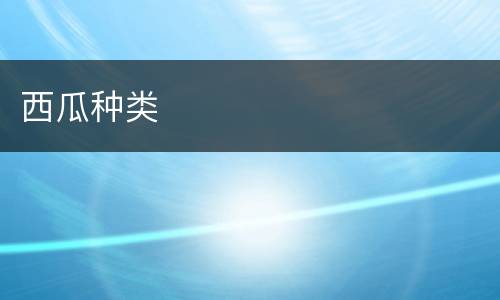 西瓜种类