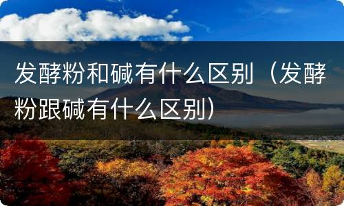 发酵粉和碱有什么区别（发酵粉跟碱有什么区别）