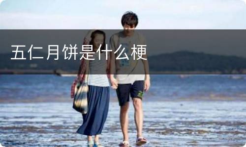 五仁月饼是什么梗