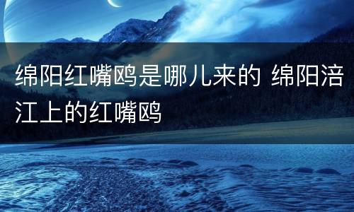 绵阳红嘴鸥是哪儿来的 绵阳涪江上的红嘴鸥