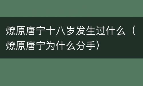 燎原唐宁十八岁发生过什么（燎原唐宁为什么分手）