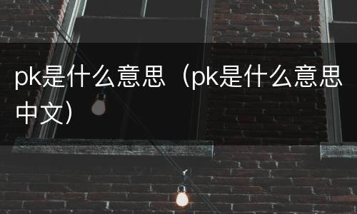 pk是什么意思（pk是什么意思中文）