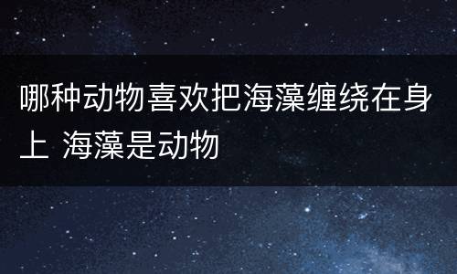 哪种动物喜欢把海藻缠绕在身上 海藻是动物