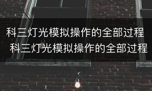 科三灯光模拟操作的全部过程 科三灯光模拟操作的全部过程雪铁龙