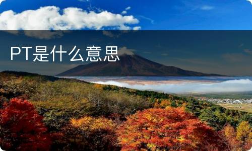 PT是什么意思