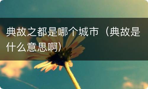 典故之都是哪个城市（典故是什么意思啊）