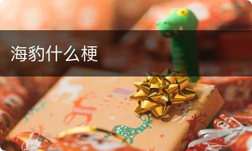 海豹什么梗