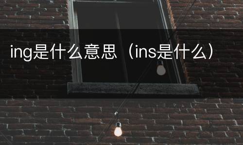 ing是什么意思（ins是什么）