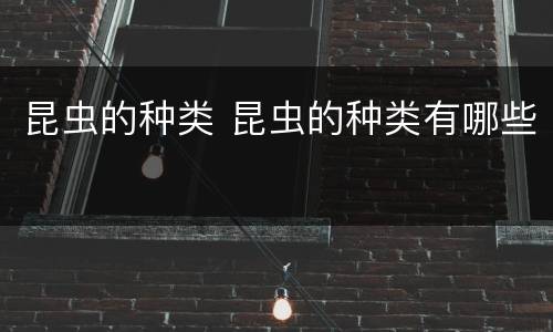 昆虫的种类 昆虫的种类有哪些