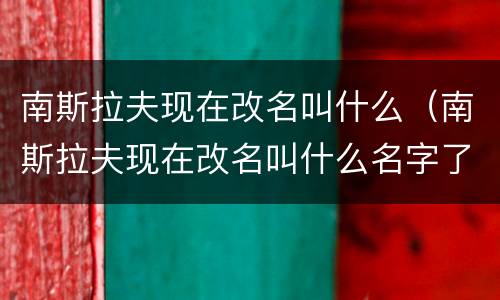 南斯拉夫现在改名叫什么（南斯拉夫现在改名叫什么名字了）